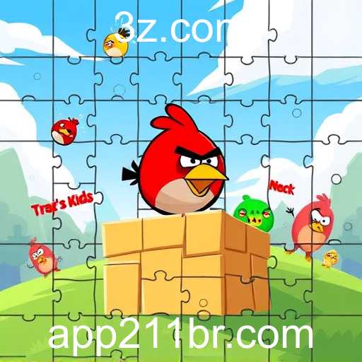 211br